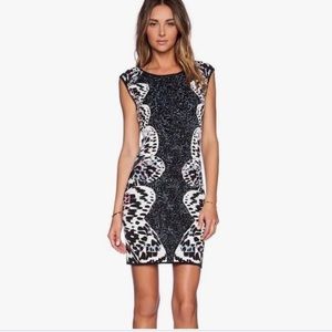 BCBG bodycon dress